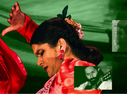 2026-11-05_Flamenco Project_Web_Telecoteco