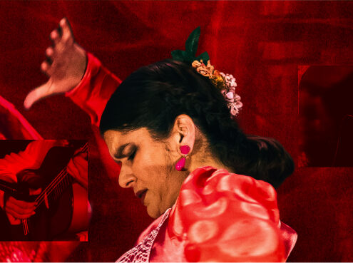 2026-12-03_Flamenco Project_Web_Telecoteco_3